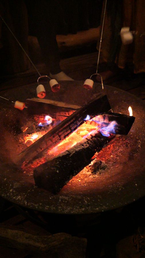 MyCo Campfire